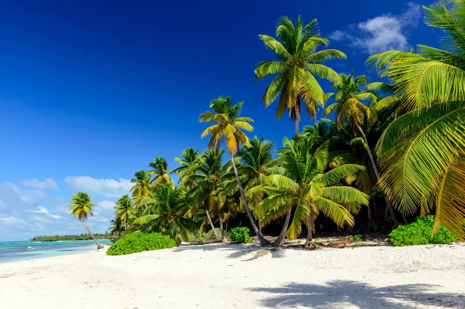 Dominican Republic Adults Only, All-Inclusive W/Air