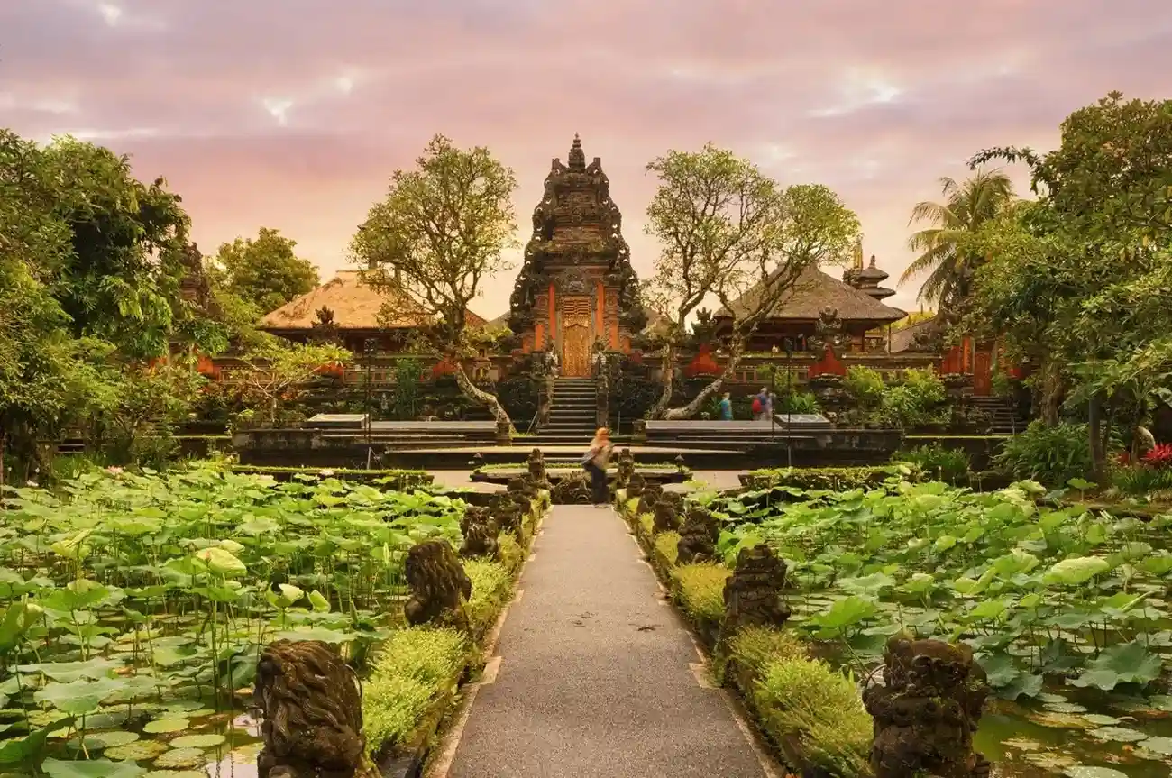 Bali Jungle and Beaches W/Air