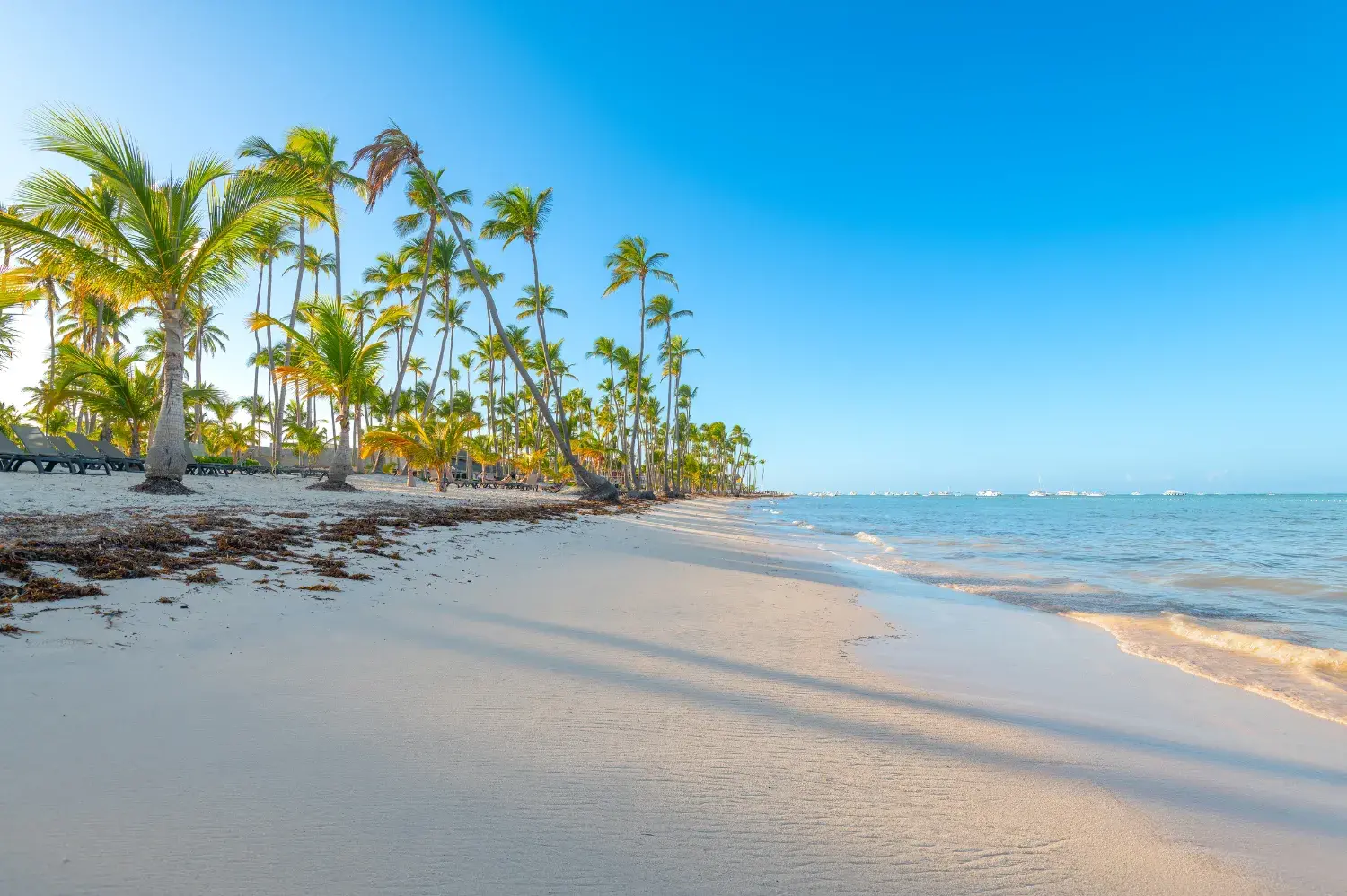Dominican Republic 5-Star Adults Only Escape W/Air and All-Inclusive