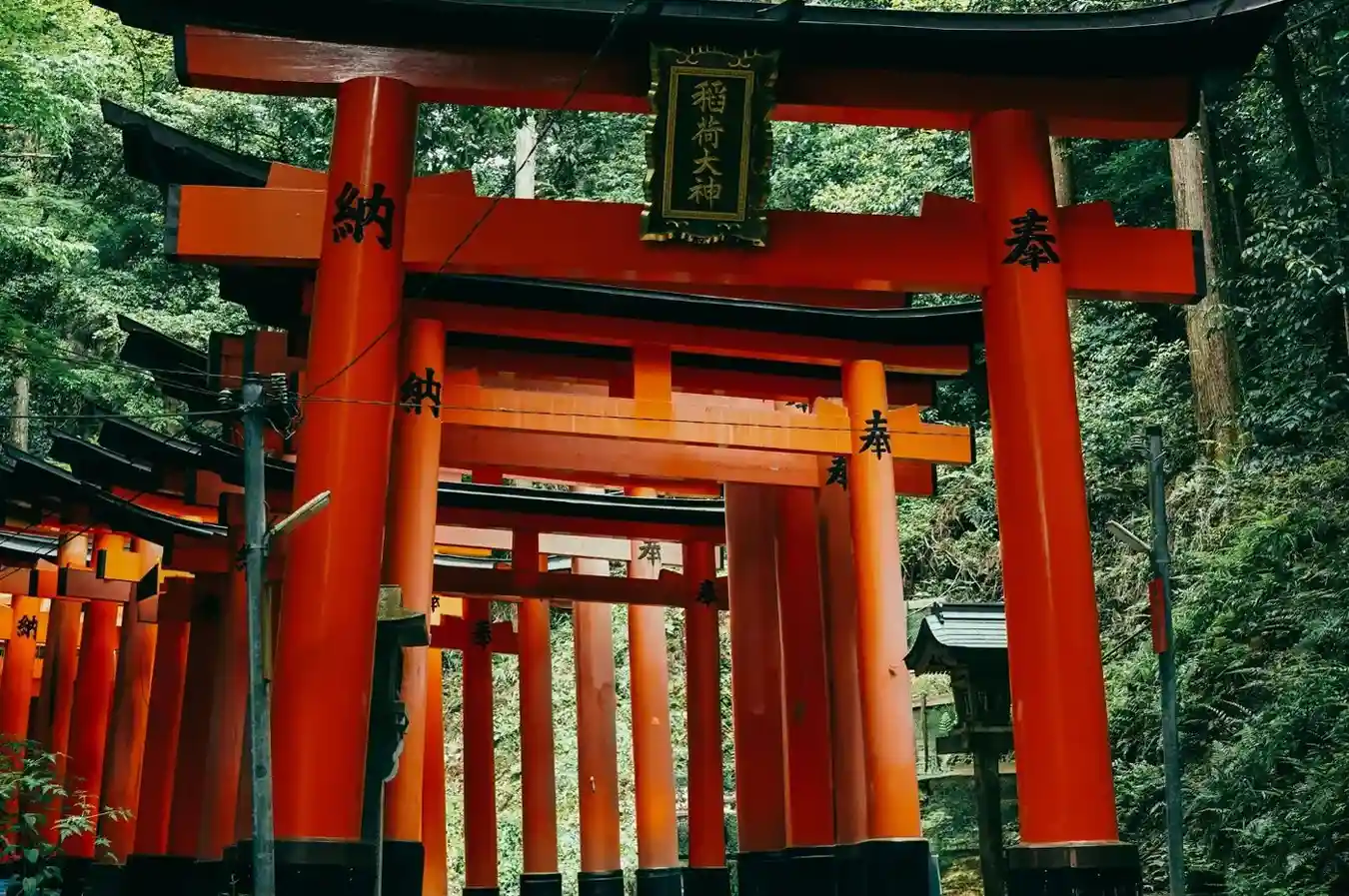 10-Night Japan Multi-City Journey: Osaka to Tokyo With Airfare and Rail